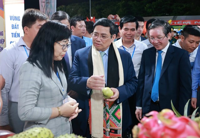 Khai mạc Festival tr&#225;i c&#226;y v&#224; sản phẩm OCOP Việt Nam năm 2022 - Ảnh 3