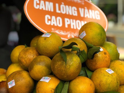 Cam l&ograve;ng v&agrave;ng Cao Phong (H&ograve;a B&igrave;nh) đặc sản n&ocirc;ng sản OCOP được người ti&ecirc;u d&ugrave;ng ưa chọn