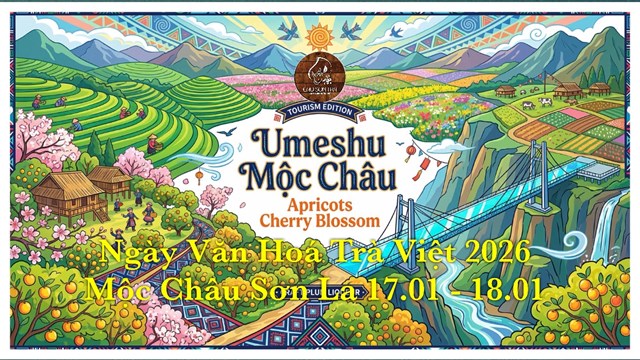 Ngày Văn hóa Trà Việt 2026 tại Mộc Châu         - Ảnh 1