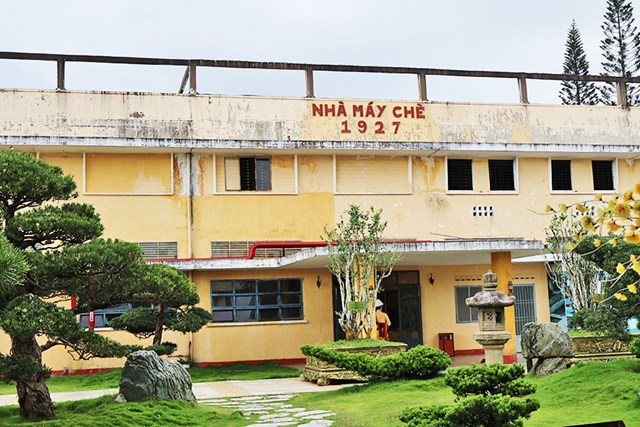 Sức sống trăm năm của Bảo tàng Chè cổ 1927 - Ảnh 1