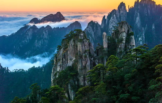 Ho&#224;ng Sơn Mao Phong – Hương vị tinh hoa từ d&#227;y n&#250;i huyền thoại - Ảnh 3