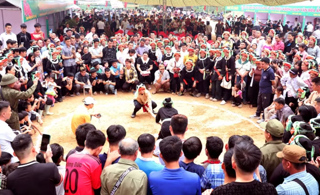 Dấu ấn Lễ hội "Miền Chè Di Sản" 2026 - Ảnh 3