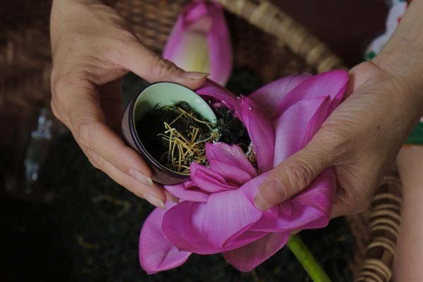 Sức sống mới của l&#224;ng nghề ch&#232; sen trăm năm đất Quảng An - Ảnh 1