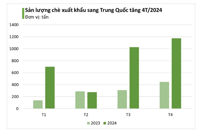  Ch&#232; Việt Nam: &quot;Kho v&#224;ng&quot; được Trung Quốc săn đ&#243;n d&#249; gi&#225; giảm mạnh - Ảnh 2