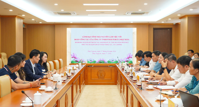 Nhu cầu nguyên liệu chế biến của thị trường Nhật Bản và cơ hội đối với chè Thái Nguyên - Ảnh 1