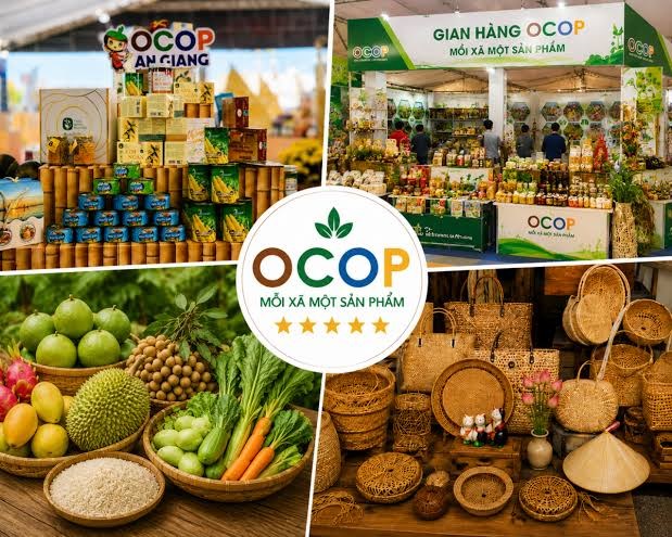 Bảo vệ thương hiệu OCOP và đặc sản địa phương trước áp lực hàng nhái - Ảnh 1