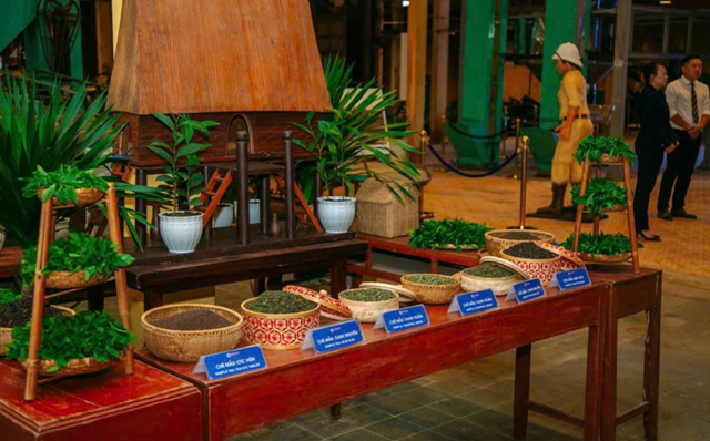 Người trẻ v&#224; h&#224;nh tr&#236;nh l&#224;m mới tr&#224; Việt: Từ khởi nghiệp đến t&#225;i định vị văn h&#243;a - Ảnh 1