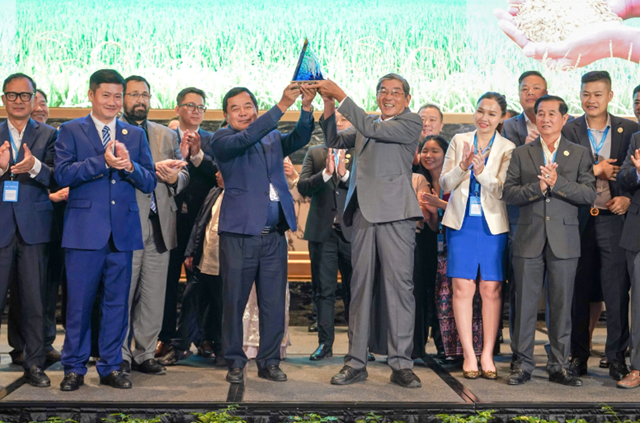 Gạo ST25 lần thứ ba đăng quang: Khẳng định vị thế v&#224; sự ổn định của thương hiệu gạo Việt - Ảnh 1