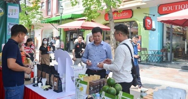 T&iacute;nh đến th&aacute;ng 7/2025, cả nước đ&atilde; c&oacute; 17.068 sản phẩm OCOP đạt 3 sao trở l&ecirc;n. Trong đ&oacute; c&oacute; 126 sản phẩm được c&ocirc;ng nhận OCOP 5 sao cấp quốc gia