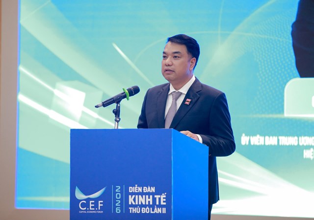 TS. Mạc Quốc Anh, Ph&oacute; Chủ tịch ki&ecirc;m Tổng Thư k&yacute; HANOISME ph&aacute;t biểu tại diễn đ&agrave;n. &nbsp;