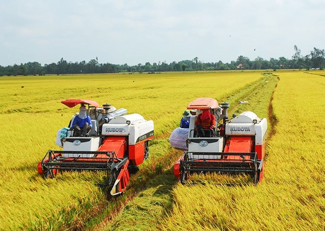 Đặt mục ti&ecirc;u giảm ph&aacute;t thải 30% kh&iacute; nh&agrave; k&iacute;nh v&agrave;o năm 2030, hướng tới nền n&ocirc;ng nghiệp xanh, tuần ho&agrave;n v&agrave; c&oacute; tr&aacute;ch nhiệm với m&ocirc;i trường to&agrave;n cầu &nbsp;