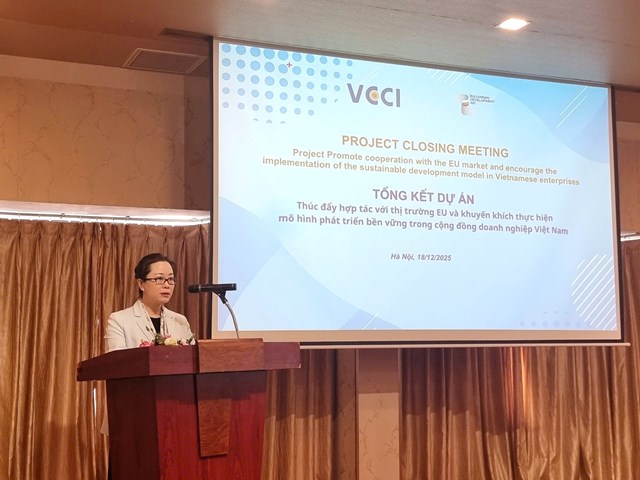 B&agrave; Trần Thị Lan Anh - Tổng Thư k&yacute; Li&ecirc;n đo&agrave;n Thương mại v&agrave; C&ocirc;ng nghiệp Việt Nam (VCCI) &nbsp;