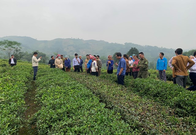 Tạo mối li&ecirc;n kết với n&ocirc;ng d&acirc;n l&agrave; tiền đề cho sự ph&aacute;t triển l&acirc;u d&agrave;i &nbsp;