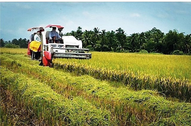 Xuất khẩu gạo cao kỷ lục, dự kiến tiếp tục thuận lợi trong năm 2024 - Ảnh 1
