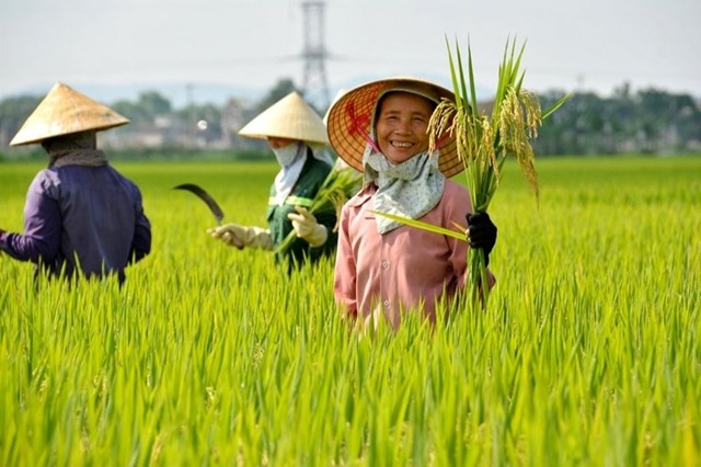 Ng&agrave;nh n&ocirc;ng nghiệp khẳng định vị thế quan trọng, l&agrave; động lực v&agrave; trụ đỡ của nền kinh tế nước nh&agrave;. &nbsp;