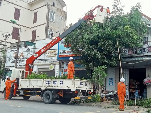 Điện lực H&agrave; Tĩnh tăng cường phối hợp với người d&acirc;n ph&aacute;t quang h&agrave;nh lang, chỉnh trang lưới điện