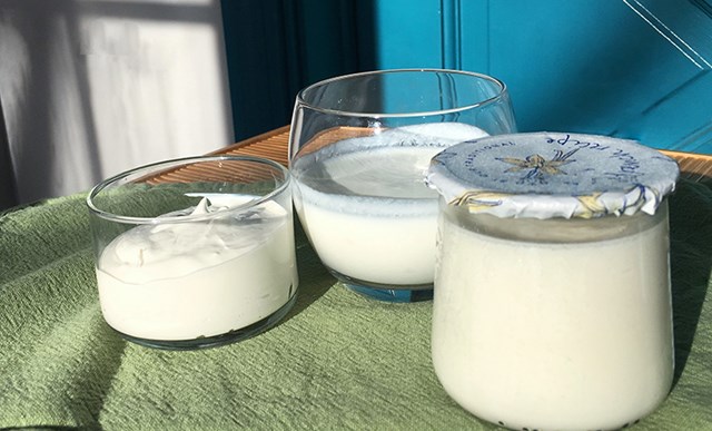 Sữa chua Kefir: Thực phẩm l&#234;n men tự nhi&#234;n tốt cho sức khỏe - Ảnh 2