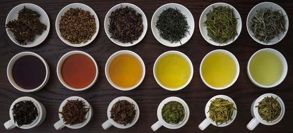 Ph&#226;n biệt c&#225;c loại tr&#224; - Kh&#225;m ph&#225; thế giới đa dạng của thức uống truyền thống - Ảnh 1