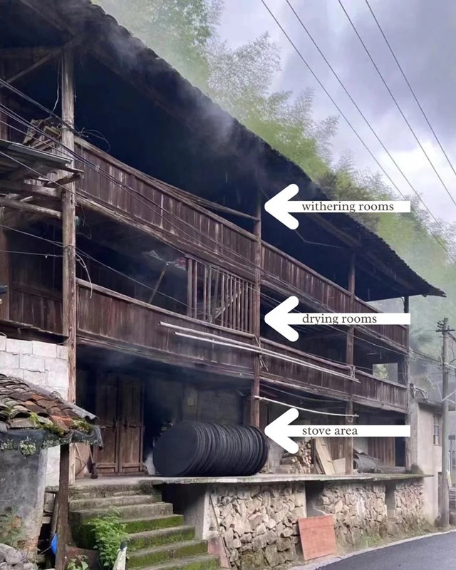 Cấu tr&uacute;c ba tầng của một "Thanh L&acirc;u" truyền thống tại v&ugrave;ng n&uacute;i Vũ Di. Kh&oacute;i v&agrave; nhiệt lượng từ củi t&ugrave;ng gi&agrave; được đốt tại tầng trệt (Stove area) sẽ len lỏi qua c&aacute;c khe s&agrave;n gỗ để thực hiện c&ocirc;ng đoạn sấy kh&ocirc; (Drying rooms) v&agrave; l&agrave;m h&eacute;o (Withering rooms) l&aacute; tr&agrave; ở c&aacute;c tầng tr&ecirc;n. Quy tr&igrave;nh hu&acirc;n tr&agrave; thủ c&ocirc;ng n&agrave;y đảm bảo hương nhựa th&ocirc;ng thẩm thấu s&acirc;u v&agrave;o từng tế b&agrave;o l&aacute;, tạo n&ecirc;n hậu vị long nh&atilde;n đặc trưng cho Ch&iacute;nh Sơn Tiểu Chủng. (Ảnh: Teasenz)