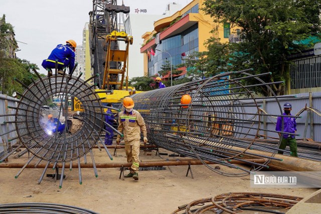 Bản tin ti&#234;u d&#249;ng ng&#224;y 19/3: Cua si&#234;u gạch “khổng lồ” đổ bộ chợ Việt, gi&#225; chỉ từ 290 ngh&#236;n đồng/kg - Ảnh 4