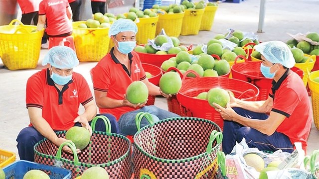 Xuất khẩu n&#244;ng sản mang về hơn 5 tỷ USD&#160; - Ảnh 1
