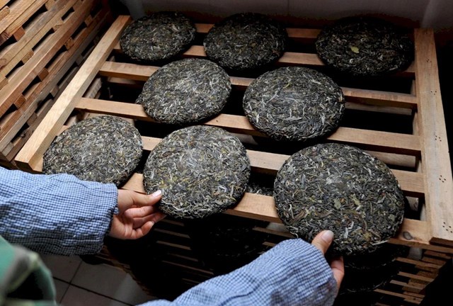 Trà ép bánh: Khi thời gian trở thành một phần của hương vị - Ảnh 2