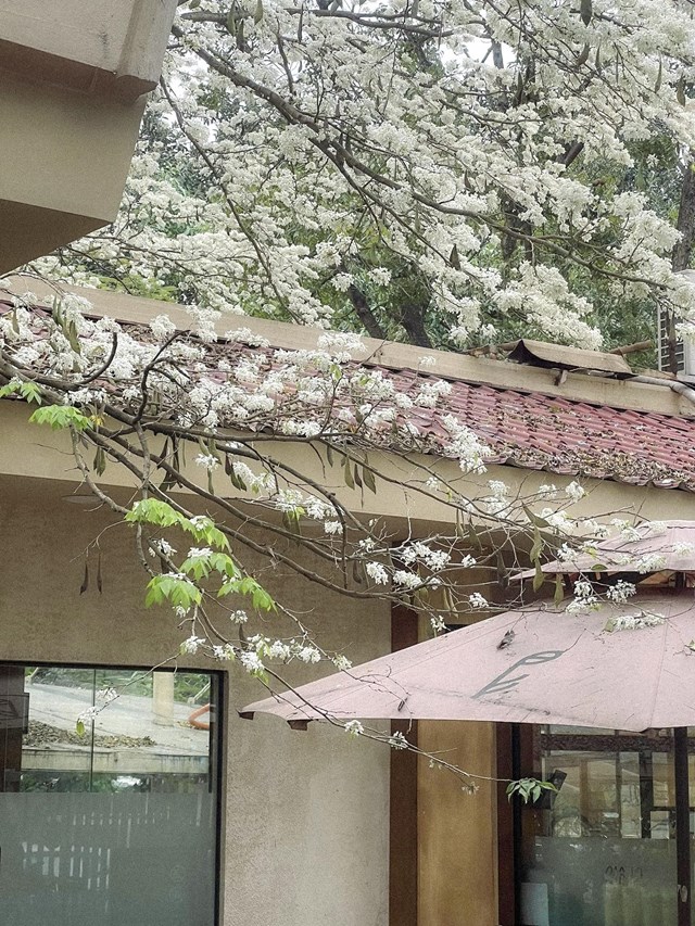 Phê La chạm mốc 100 cửa hàng: Hành trình lan tỏa nốt hương di sản - Ảnh 1