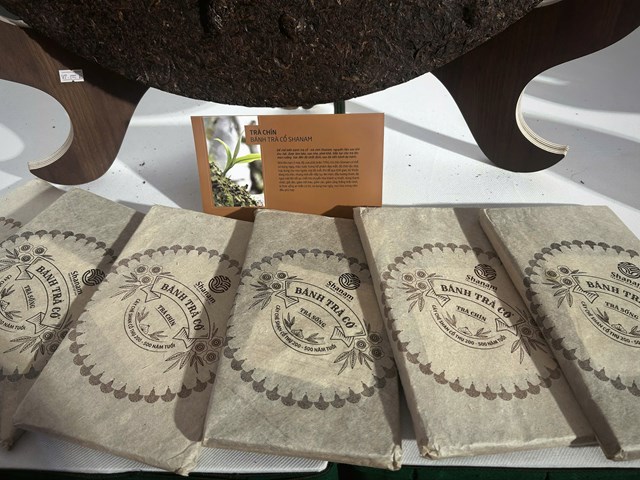 Tọa đàm: Bánh trà cổ Shanam - Gói trọn miền xưa, khơi dòng tuyệt tác - Ảnh 3
