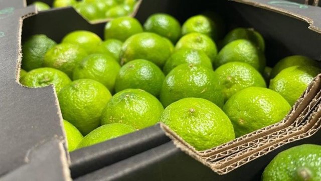 Mở rộng danh mục trái cây xuất khẩu sang Trung Quốc: Cơ hội mới cho bưởi và chanh - Ảnh 2