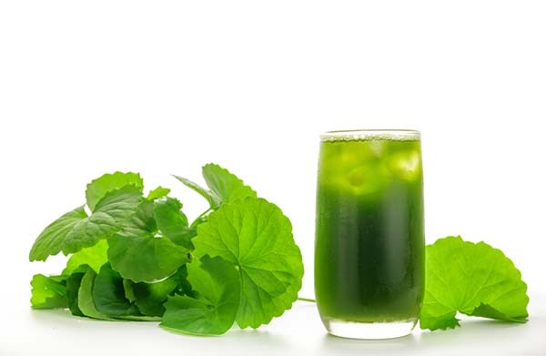 Những thức uống giải nhiệt m&#249;a h&#232;  - Ảnh 6
