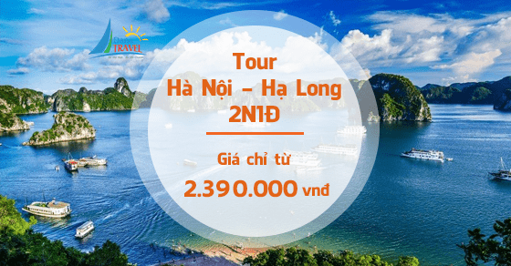 Bản tin Ti&#234;u d&#249;ng 29/4: Gi&#225; tour tăng l&#234;n mặt bằng mới - Ảnh 4