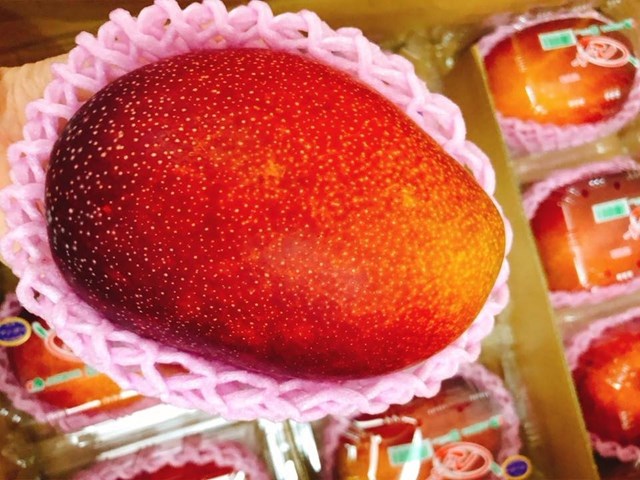‘Cherry Việt’ đổ bộ thị trường - Ảnh 4