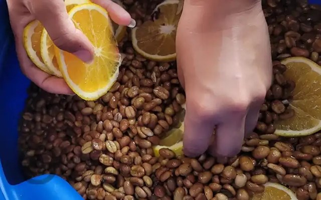 Từ lên men ủ kín đến sơ chế lạnh: Specialty coffee bước vào kỷ nguyên hương rõ, hậu vị sạch - Ảnh 1