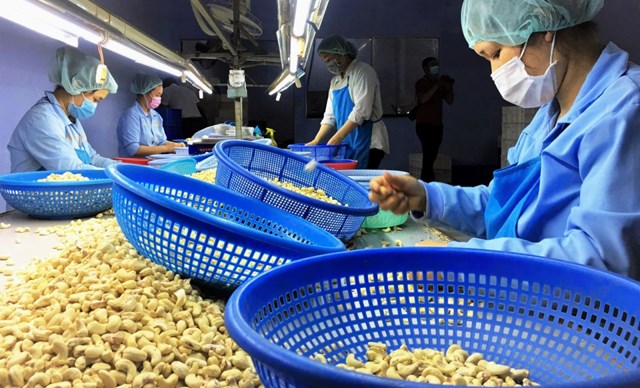 Trung Quốc siết kiểm soát từ 1/6, nông sản Việt đối mặt áp lực chuẩn hóa - Ảnh 1