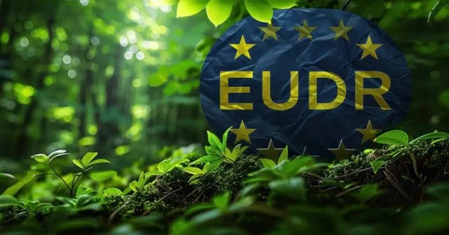 EU lùi áp dụng EUDR đến cuối 2026, nông sản Việt có thêm thời gian thích ứng - Ảnh 1