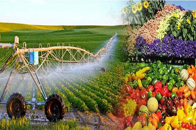 Nông nghiệp Việt Nam trước áp lực chuyển đổi xanh và cuộc đua công nghệ  - Ảnh 1