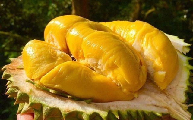 Bản tin Ti&#234;u d&#249;ng 6/6: Vải thiều xuất Nhật c&#243; gi&#225; 200.000đồng/kg - Ảnh 3