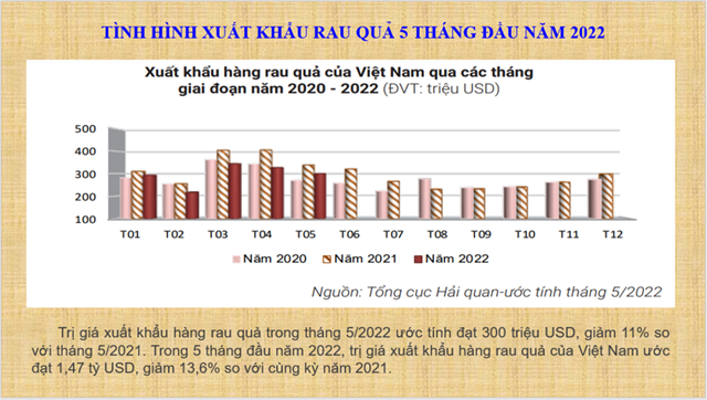 Gi&#225; trị xuất khẩu rau quả Việt Nam giảm mạnh - Ảnh 1