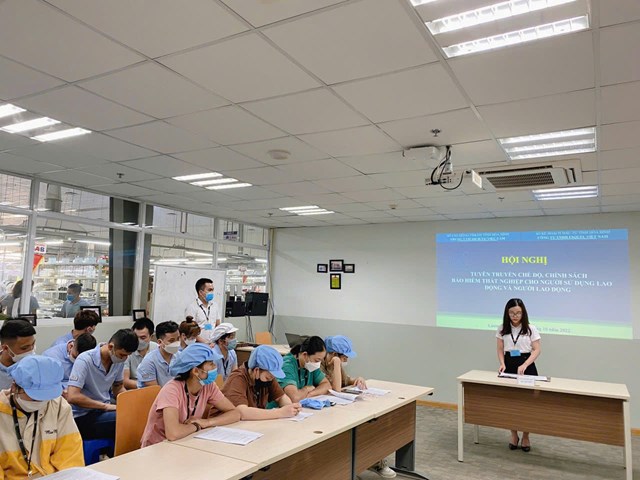 H&#242;a B&#236;nh sau 5 năm thực hiện Chỉ thị 37: Ổn định để ph&#225;t triển - Ảnh 5