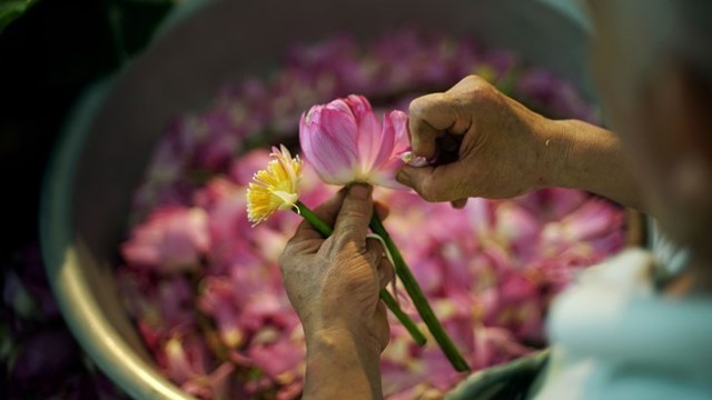 Tr&#224; sen T&#226;y Hồ - Tinh hoa của nghệ thuật v&#224; cảm x&#250;c H&#224; th&#224;nh - Ảnh 2