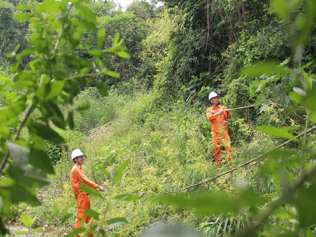 Điện lực Chi Lăng (PC Lạng Sơn) ph&aacute;t quang h&agrave;nh lang bảo vệ h&agrave;nh lang an to&agrave;n lưới điện