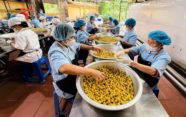Nguy&ecirc;n liệu được tuyển chọn lỹ c&agrave;ng&nbsp;