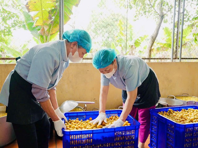 Cốt mơ thực dưỡng t&#237;a t&#244; – Giọt c&#226;n bằng từ thi&#234;n nhi&#234;n - Ảnh 1