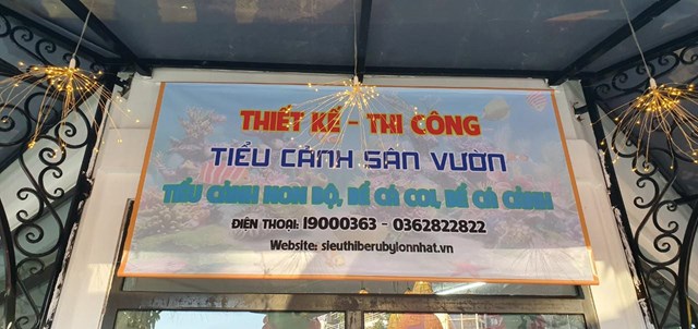 H&#224; Đ&#244;ng: Tưng bừng khai trương si&#234;u thị bể c&#225; cảnh Ruby - Ảnh 5