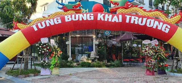 H&#224; Đ&#244;ng: Tưng bừng khai trương si&#234;u thị bể c&#225; cảnh Ruby - Ảnh 1