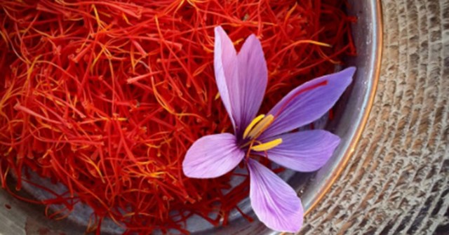 Saffron &ndash; Nhụy hoa nghệ t&acirc;y