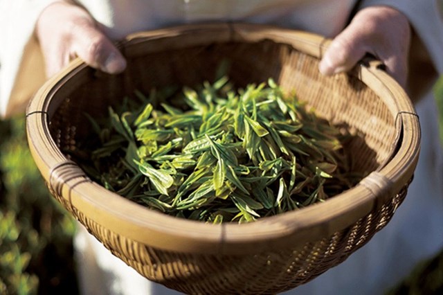Hương vị tr&#224; - Ng&#244;n ngữ tinh tế của thi&#234;n nhi&#234;n  - Ảnh 1