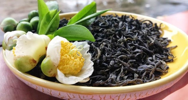 Ch&#232; Shan tuyết cổ thụ tr&#234;n sườn n&#250;i T&#226;y C&#244;n Lĩnh - Ảnh 1
