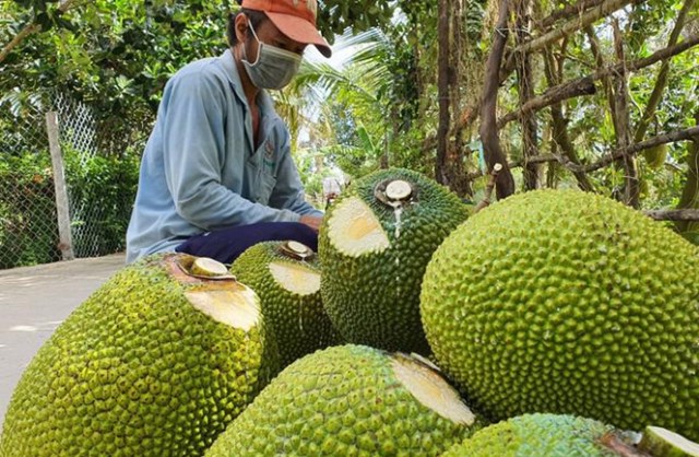 Bản tin Ti&#234;u d&#249;ng 15/8: M&#237;t Th&#225;i, dưa hấu, thanh long tăng vọt trở lại  - Ảnh 3