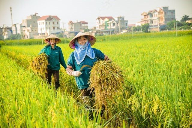 Tam n&#244;ng lu&#244;n l&#224; trụ đỡ của nền kinh tế - Ảnh 1